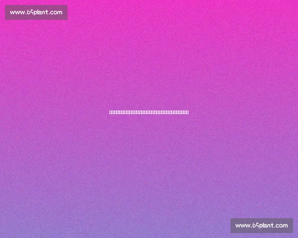 跨越极限的动物马拉松赛事展现生命速度与耐力之美竞技精神与自然魅力